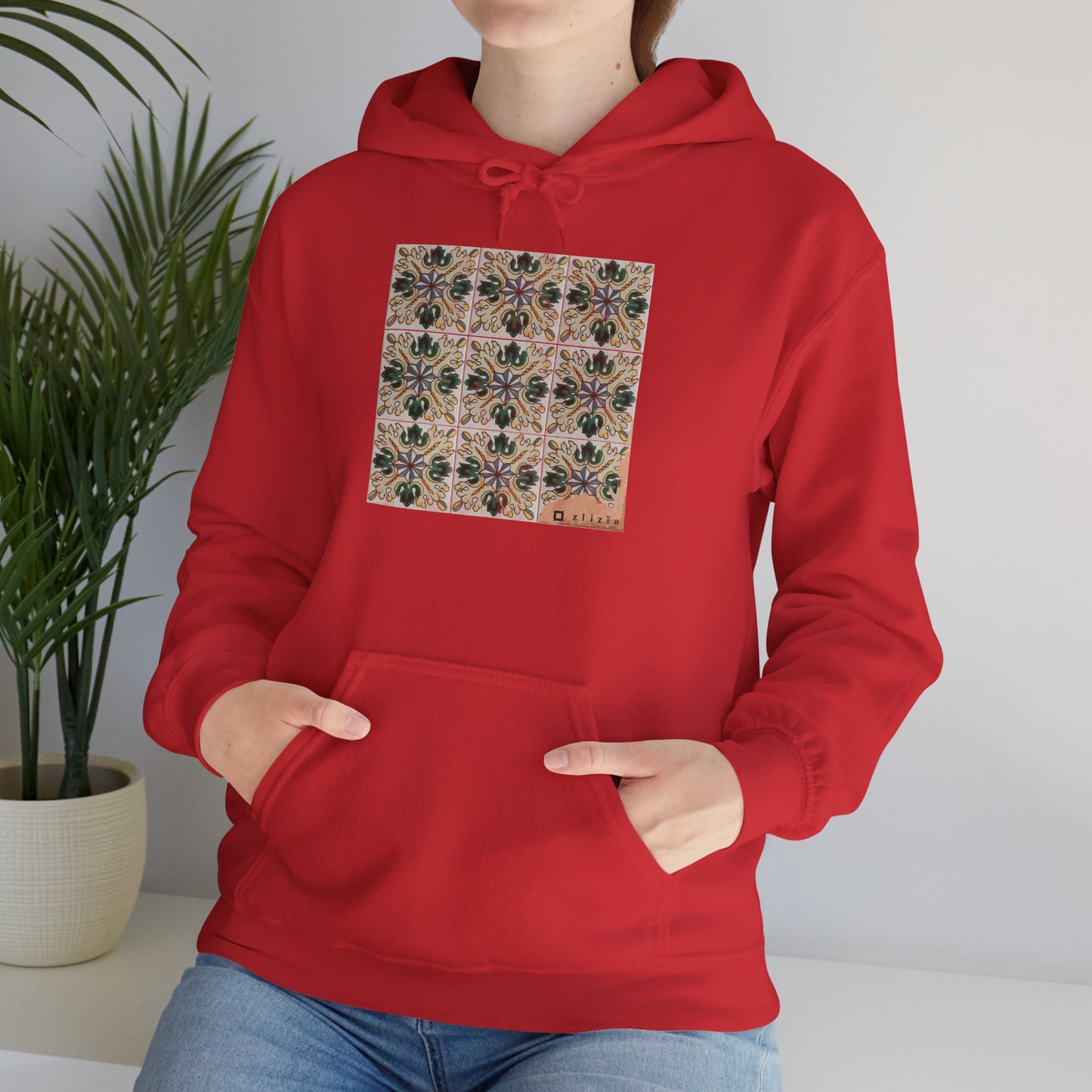 Afset Sid Ancien Vintage Hoodie